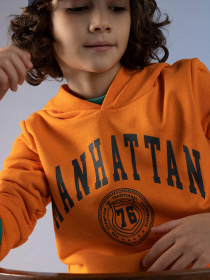 Худи DeFacto модель Z4596A6-OG142 Фото