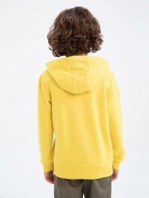 Худи DeFacto модель Z4596A6-YL470 Фото