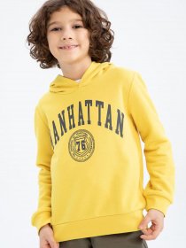 Худи DeFacto модель Z4596A6-YL470 Фото