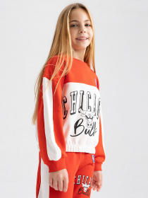 Свитшот DeFacto модель Z4760A6-RD44 Фото