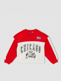 Свитшот DeFacto модель Z4760A6-RD44 Фото