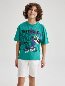 Футболка DeFacto модель Z6359A6-GN276 Фото