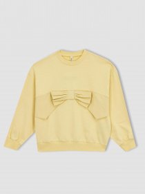 Світшот DeFacto модель Z8914A6-YL252 Фото