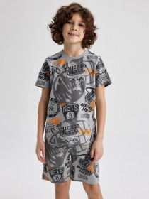 Футболка DeFacto модель Z9003A6-GR454 Фото