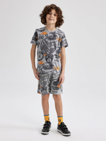 Футболка DeFacto модель Z9003A6-GR454 Фото