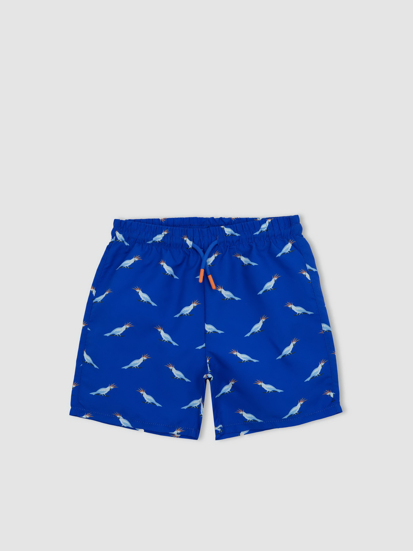 Шорти для плавання DeFacto модель A2023A8-BE412 Фото