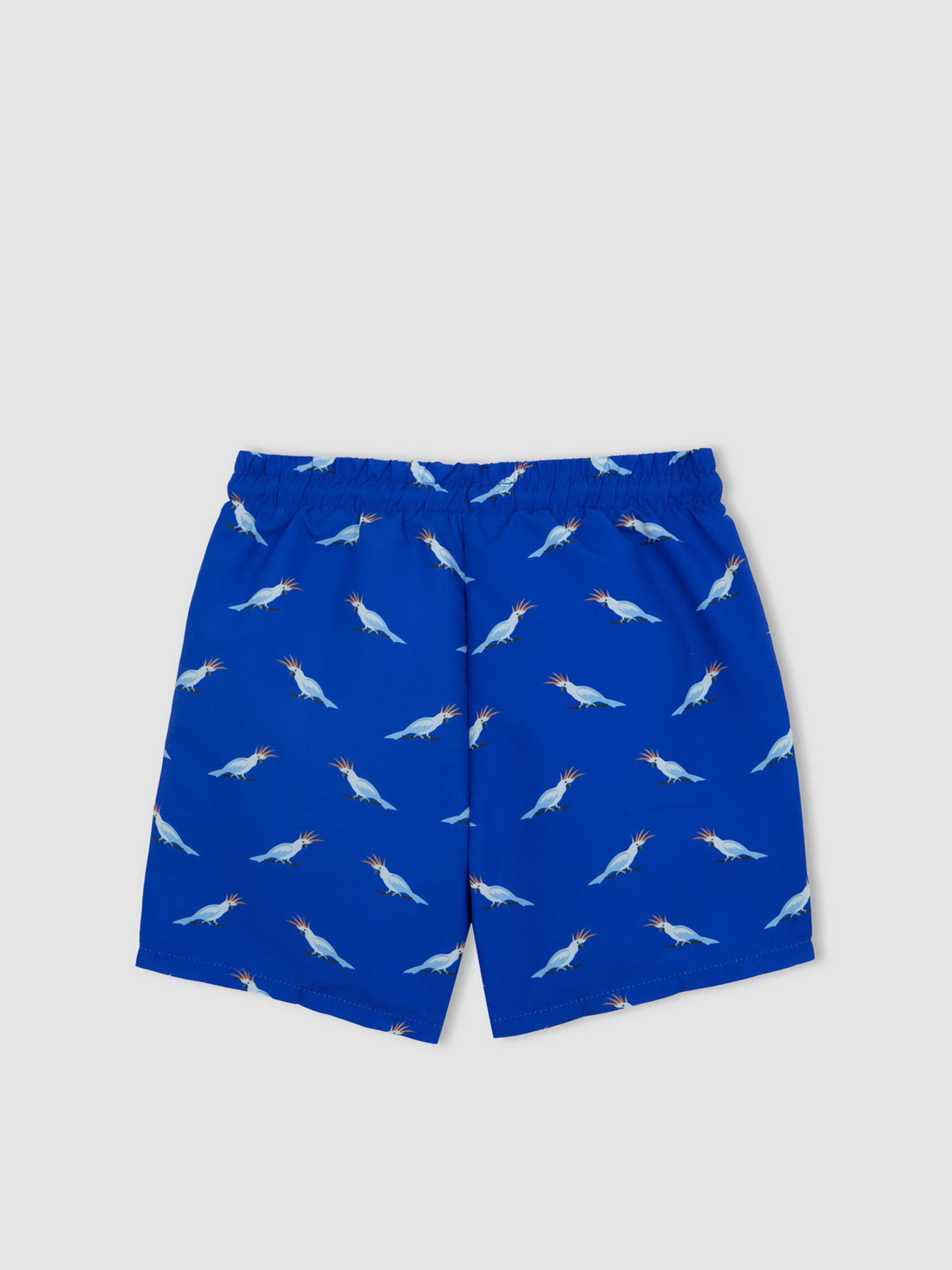 Шорти для плавання DeFacto модель A2023A8-BE412 Фото