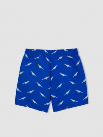 Шорти для плавання DeFacto модель A2023A8-BE412 Фото