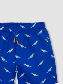 Шорти для плавання DeFacto модель A2023A8-BE412 Фото