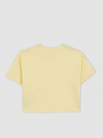 Топ DeFacto модель A4130A8-YL75 Фото