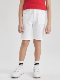 Повседневные шорты DeFacto модель W9327A6-WT34 Фото