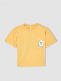 Футболка DeFacto модель Y3952A6-OG305 Фото