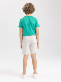 Шорты DeFacto модель Z5289A6-GR470 Фото