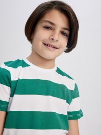 Футболка DeFacto модель Z2867A6-GN279 Фото