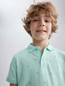 Поло DeFacto модель Z8757A6-GN1118 Фото