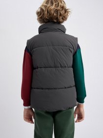 Утеплений жилет DeFacto модель A1841A8-AR31 Фото