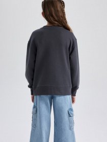 Свитшот DeFacto модель A2797A8-AR31 Фото