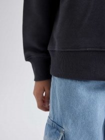 Свитшот DeFacto модель A2797A8-AR31 Фото