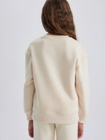 Свитшот DeFacto модель A2797A8-BG286 Фото