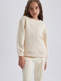 Свитшот DeFacto модель A2797A8-BG286 Фото