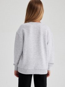 Свитшот DeFacto модель A2797A8-GR93 Фото