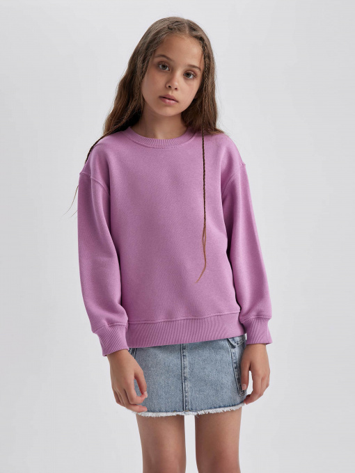 Світшот DeFacto Модель A2797A8-PR61 Фото