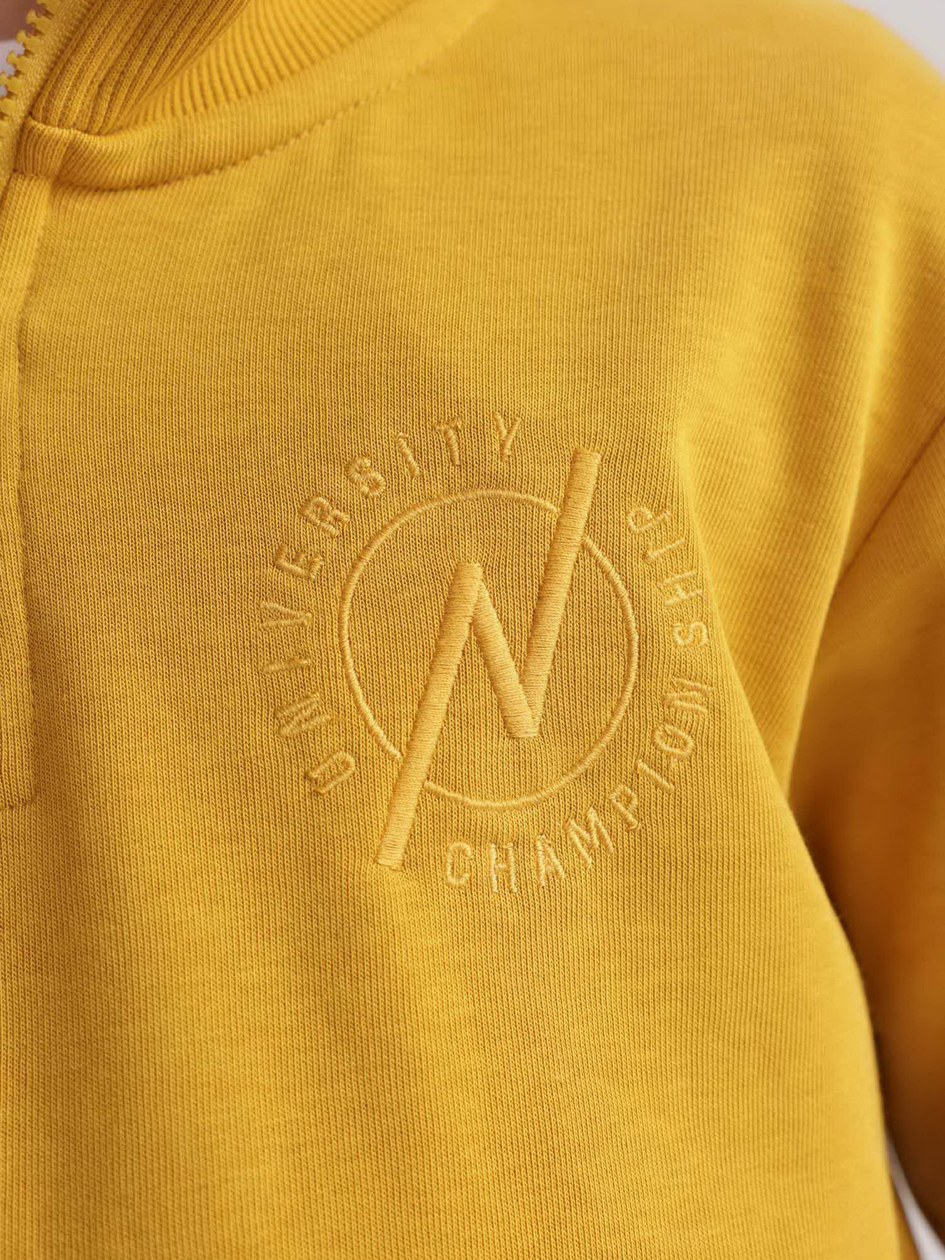 Свитшот DeFacto модель A4444A8-YL311 Фото