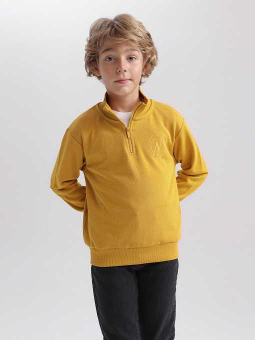 Світшот DeFacto Модель A4444A8-YL311 Фото