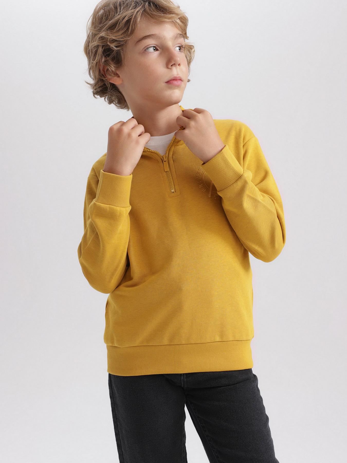 Свитшот DeFacto модель A4444A8-YL311 Фото