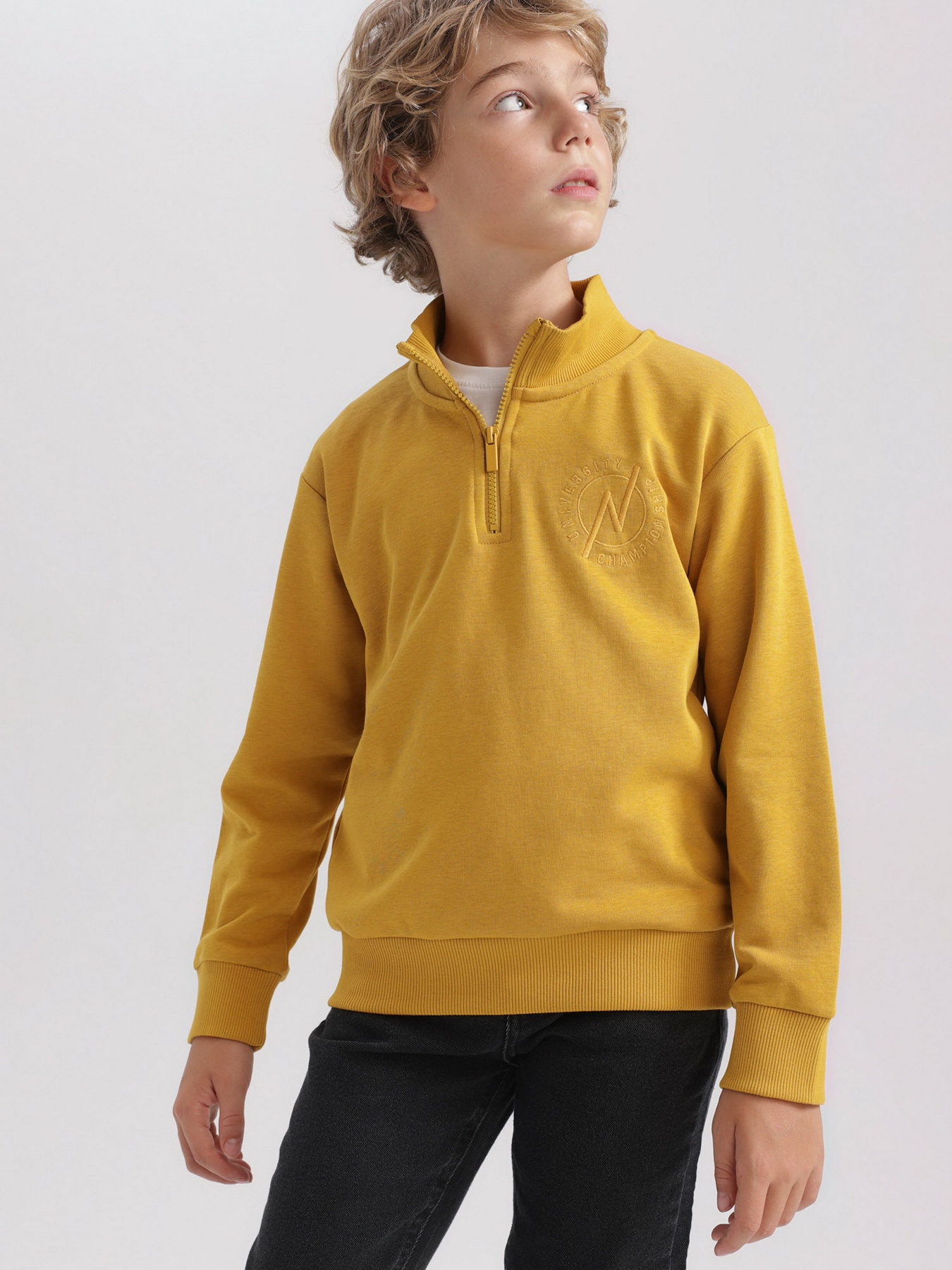 Свитшот DeFacto модель A4444A8-YL311 Фото