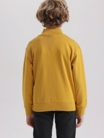 Свитшот DeFacto модель A4444A8-YL311 Фото