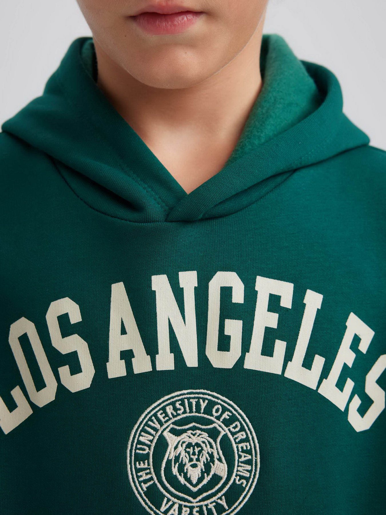 Худи DeFacto модель A4463A8-GN671 Фото