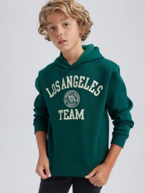 Худи DeFacto модель A4463A8-GN671 Фото