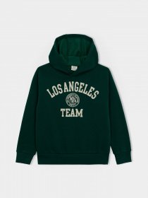 Худі DeFacto модель A4463A8-GN671 Фото