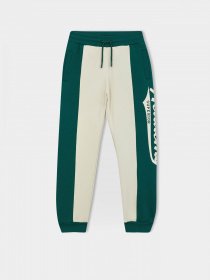 Джоггеры DeFacto модель A4465A8-BG74 Фото