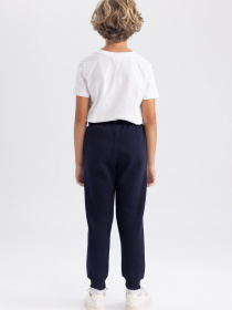 Джогери DeFacto модель A4466A8-NV245 Фото