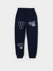 Джогери DeFacto модель A4466A8-NV245 Фото