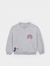 Свитшот DeFacto модель A5603A8-GR379 Фото