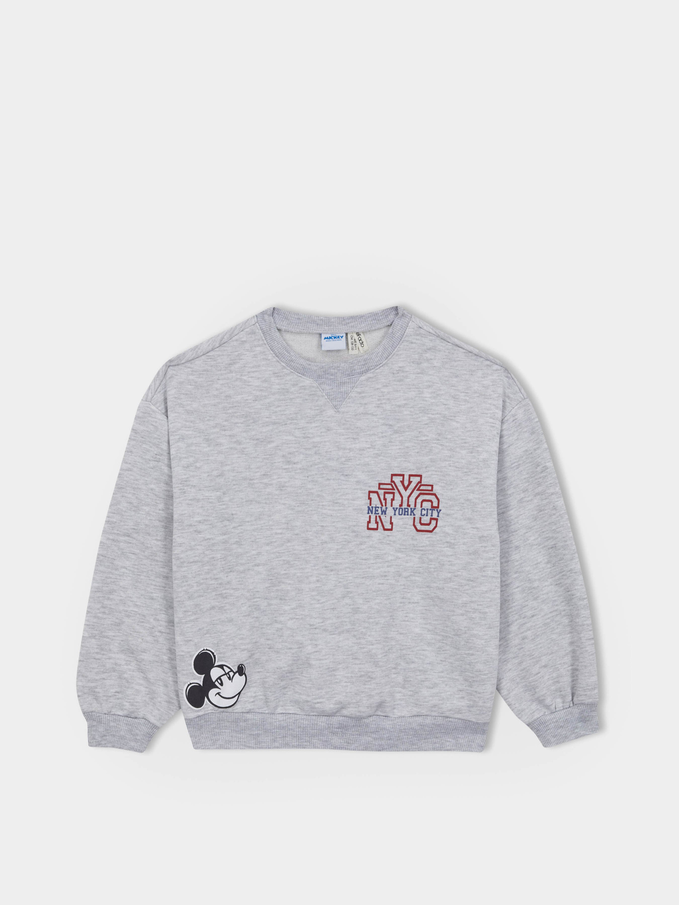 Світшот DeFacto модель A5603A8-GR379 Фото