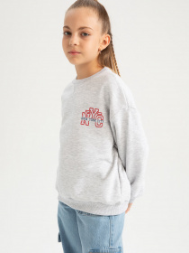 Світшот DeFacto модель A5603A8-GR379 Фото