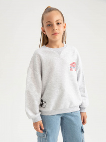 Світшот DeFacto модель A5603A8-GR379 Фото