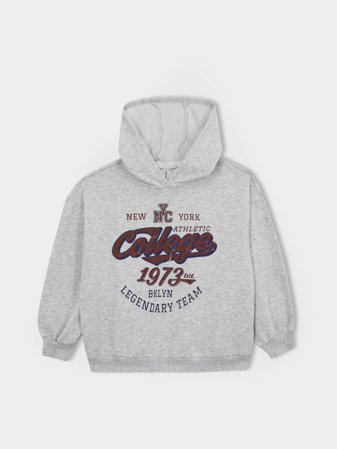 Худі DeFacto модель A5793A8-GR156 Фото