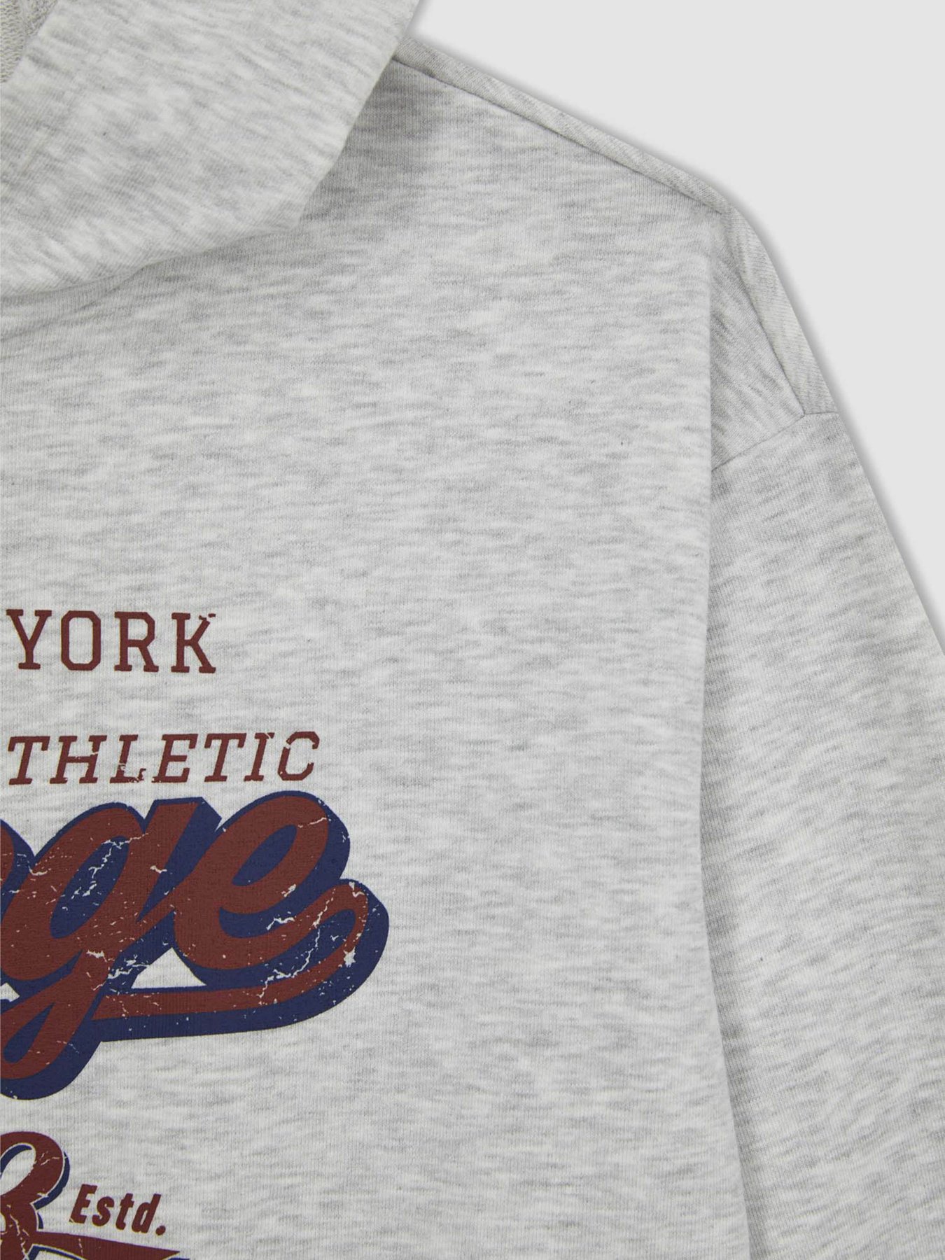 Худі DeFacto модель A5793A8-GR156 Фото