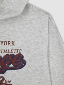 Худі DeFacto модель A5793A8-GR156 Фото