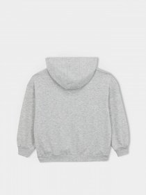 Худи DeFacto модель A5793A8-GR156 Фото