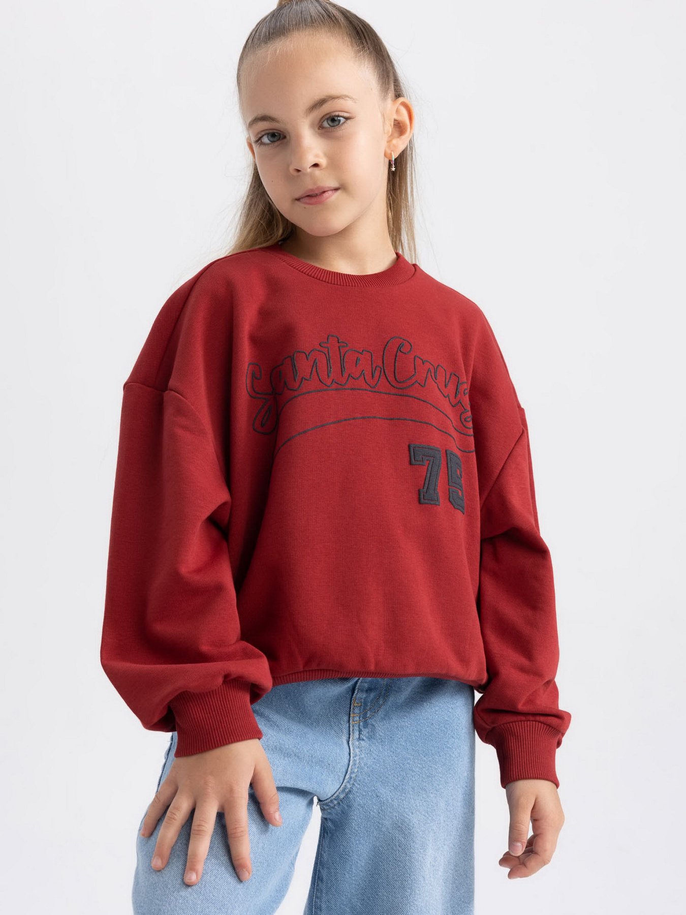 Свитшот DeFacto модель A5794A8-BR470 Фото