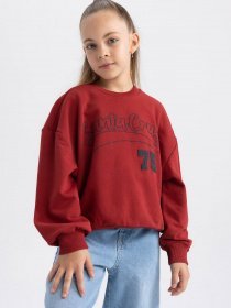 Свитшот DeFacto модель A5794A8-BR470 Фото