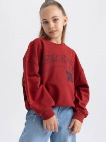 Свитшот DeFacto модель A5794A8-BR470 Фото