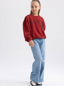 Світшот DeFacto модель A5794A8-BR470 Фото