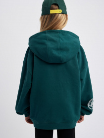 Худі DeFacto модель A6157A8-GN1116 Фото